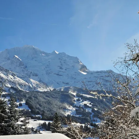 Apartment Central-2 By Interhome Wengen