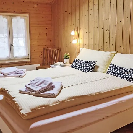 Central-2 By Interhome Daire *